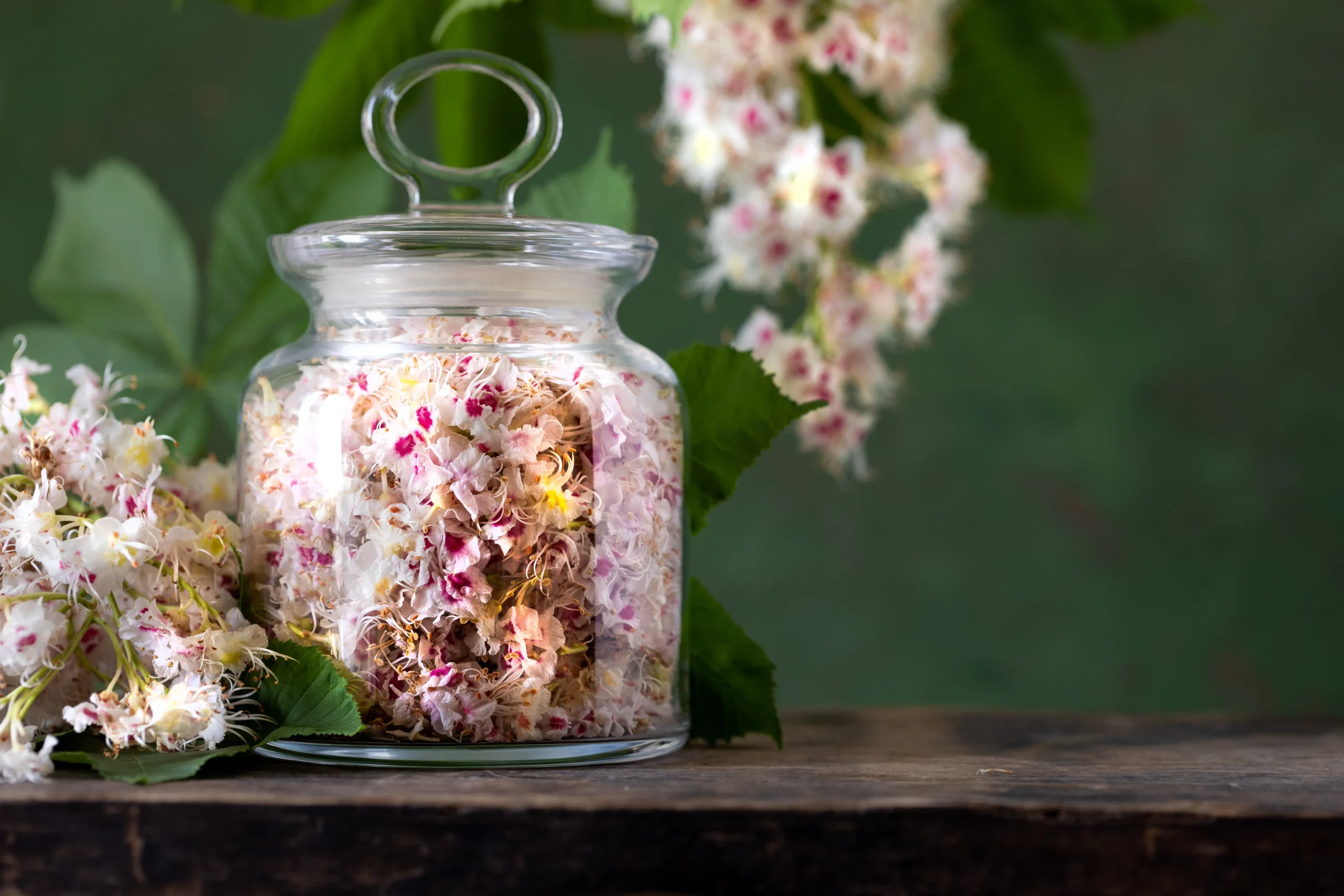 Fleurs séchées utilisées dans le cadre d’un accompagnement émotionnel et du bien-être